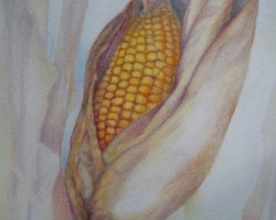 p1120624
