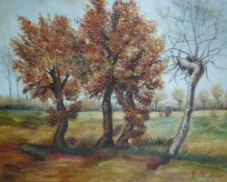 p1000032