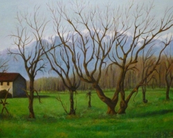 p1000047