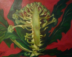 p1000050
